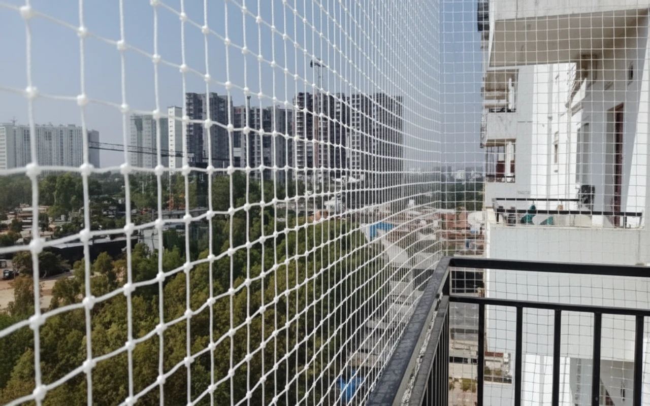 Close-up net detail — Madhapur